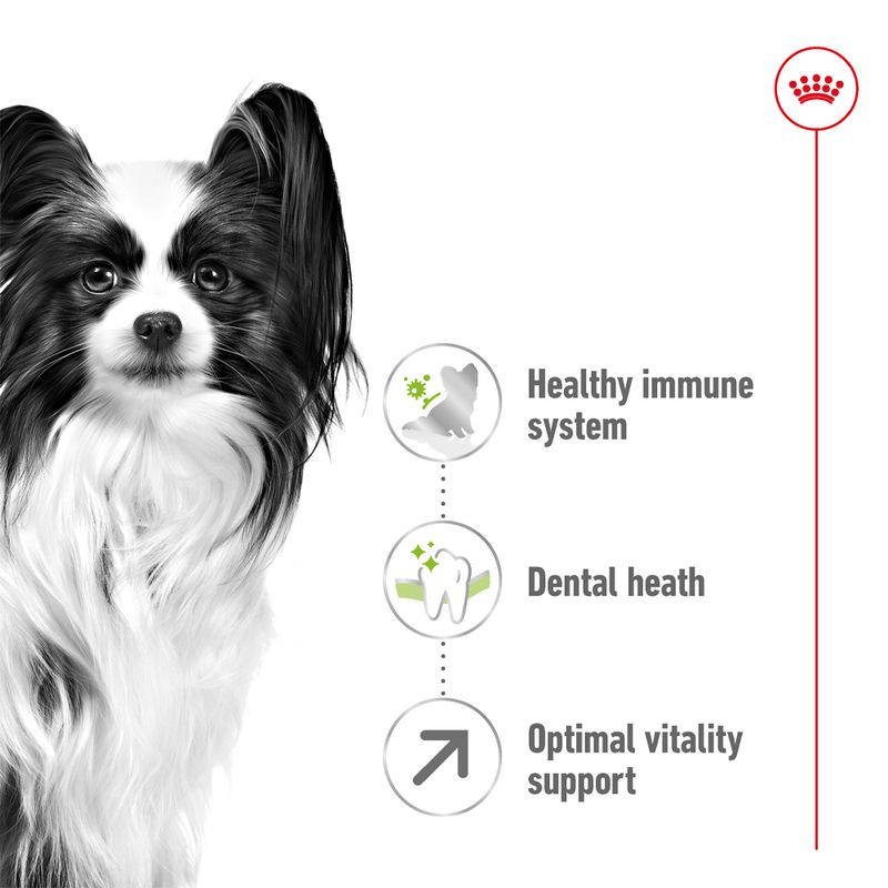 Royal Canin X-Small Adult 8+ || Royal Canin Size || view 3