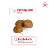 Royal Canin X-Small Adult || Royal Canin Size || view 4