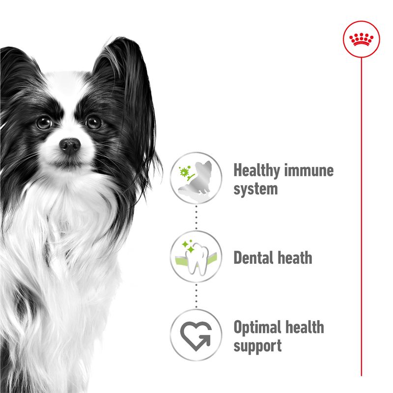 Royal Canin X-Small Adult || Royal Canin Size || view 3