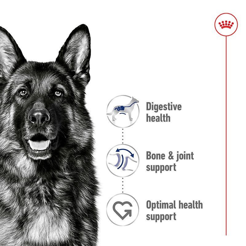 Royal Canin Maxi Adult in Gravy || Royal Canin Size || view 4