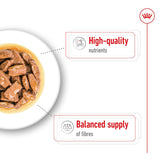 Royal Canin Maxi Adult in Gravy || Royal Canin Size || view 6