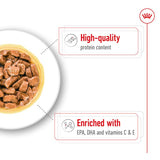 Royal Canin Medium Ageing in Gravy || Royal Canin Size || view 5