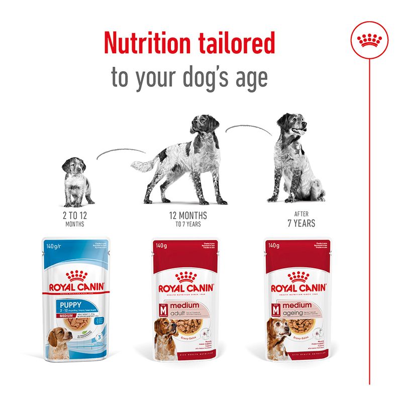 Royal Canin Medium Ageing in Gravy || Royal Canin Size || view 6