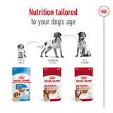 Royal Canin Medium Ageing in Gravy || Royal Canin Size || view 6