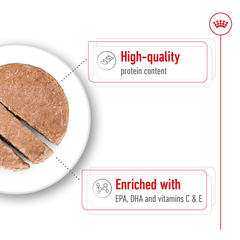 Product features: high-quality protein content; enriched with EPA, DHA and vitamins C and E.