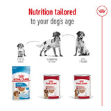 Nutrition tailored to your dog's age, showing three Royal Canin products for different life stages: puppy (2-12 months), adult (12 months-7 years), and ageing (after 7 years).