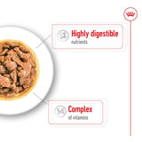 Royal Canin Mini Adult in Gravy || Royal Canin Size || view 5