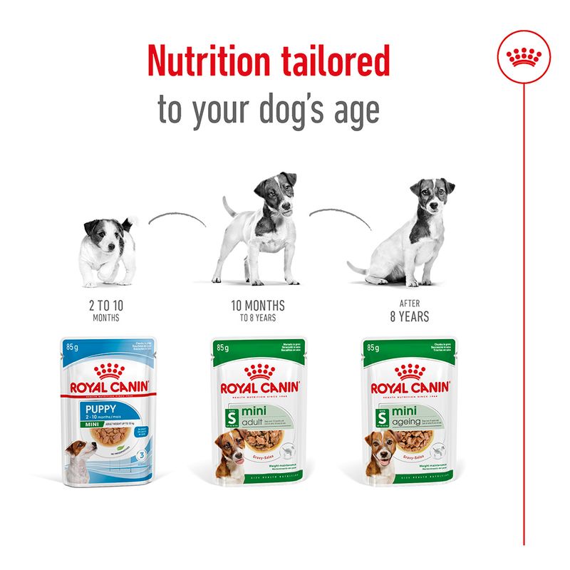 Royal Canin Mini Adult in Gravy || Royal Canin Size || view 6