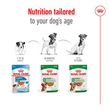 Royal Canin Mini Adult in Gravy || Royal Canin Size || view 6