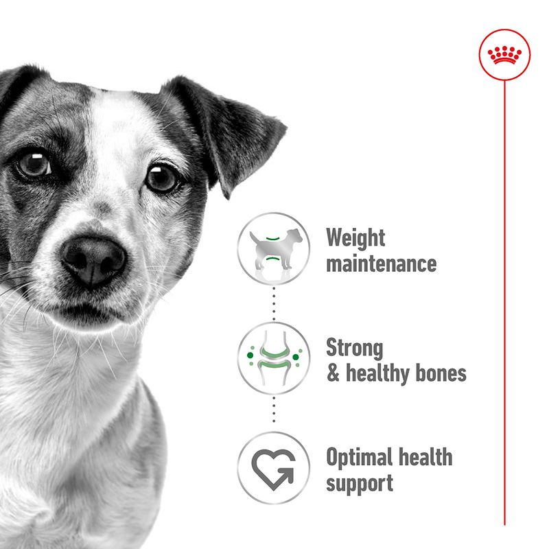 Image highlighting product benefits: weight maintenance, strong and healthy bones, and optimal health support, shown with simple icons and text.