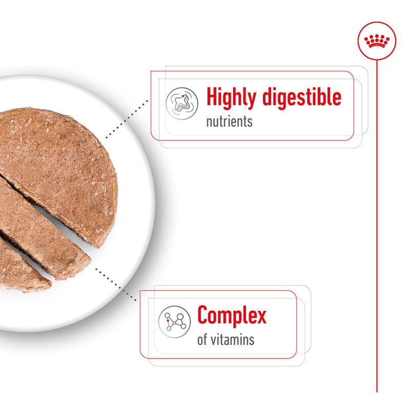 Image highlights highly digestible nutrients and a complex of vitamins as key features of the product.