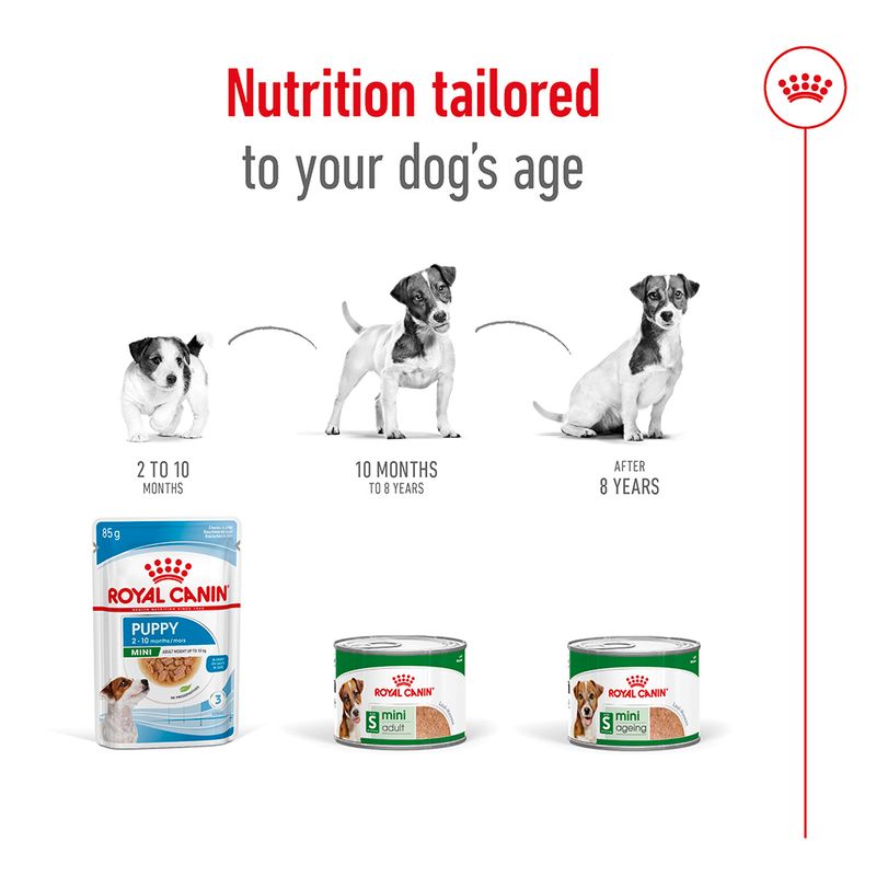 Feeding guide showing different Royal Canin products for dogs aged 2-10 months, 10 months to 8 years, and after 8 years, with matching product images under each age group.