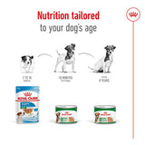 Feeding guide showing different Royal Canin products for dogs aged 2-10 months, 10 months to 8 years, and after 8 years, with matching product images under each age group.