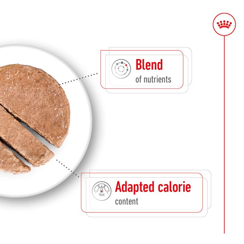 Royal Canin Mini Ageing in Loaf || Royal Canin Size || view 4
