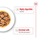 Royal Canin X-Small Adult in Gravy || Royal Canin Size || view 5