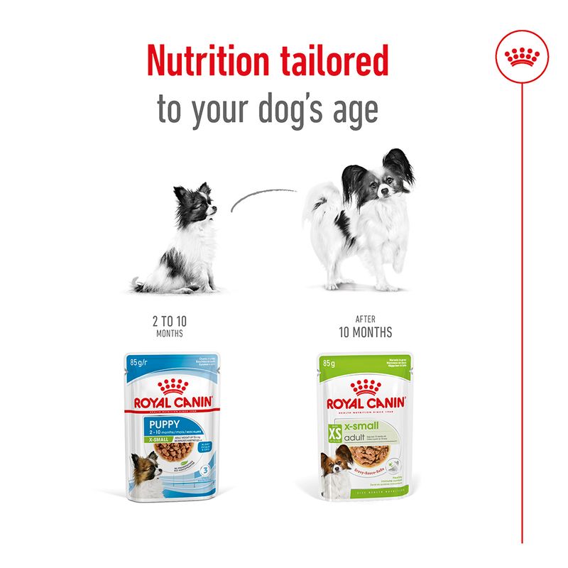 Royal Canin X-Small Adult in Gravy || Royal Canin Size || view 6