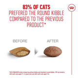 Royal Canin Ageing 11+