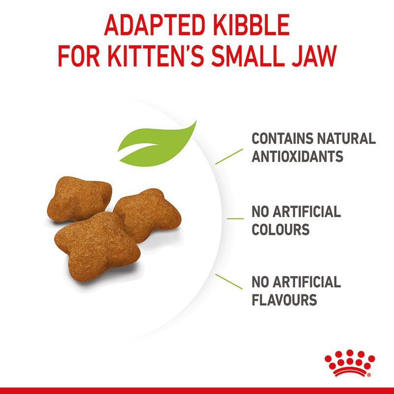 Royal Canin Kitten Sterilised || undefined || view 6