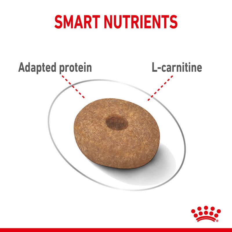 Royal Canin Mini Light Weight Care || Royal Canin Care Nutrition || view 4