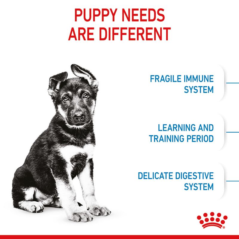 Royal Canin Maxi Puppy || Royal Canin Size || view 6