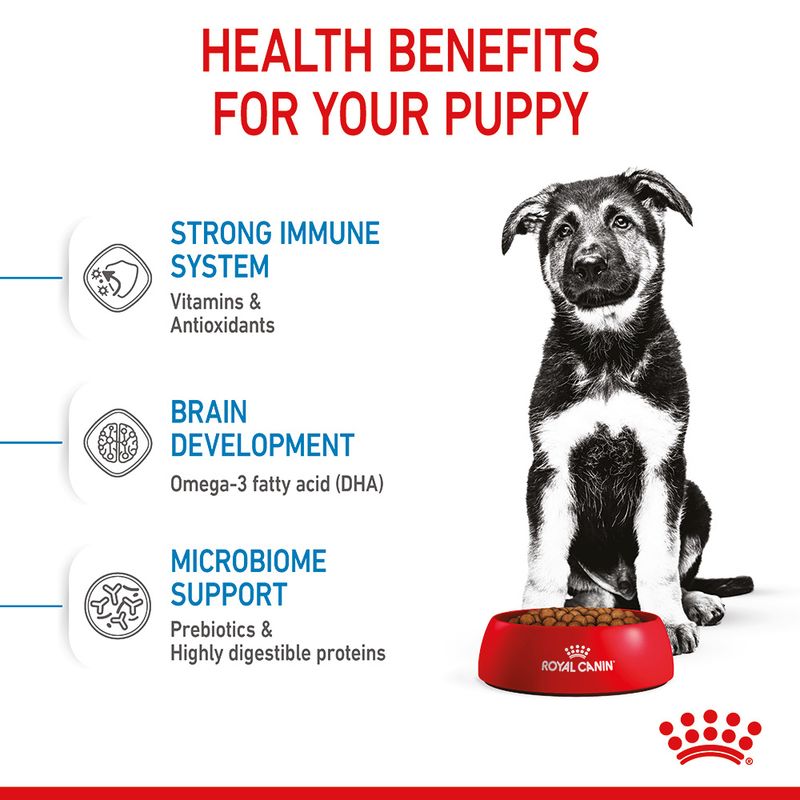 Royal Canin Maxi Puppy || Royal Canin Size || view 5