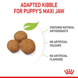 Royal Canin Maxi Puppy || Royal Canin Size || view 7