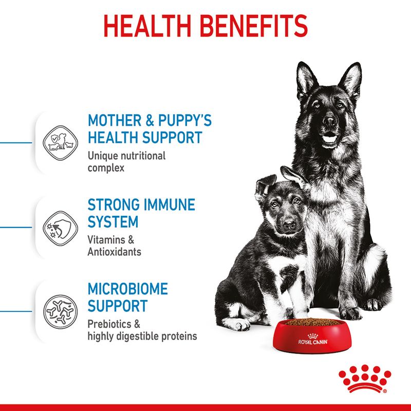 Royal Canin Maxi Starter Mother & Babydog || Royal Canin Size || view 6