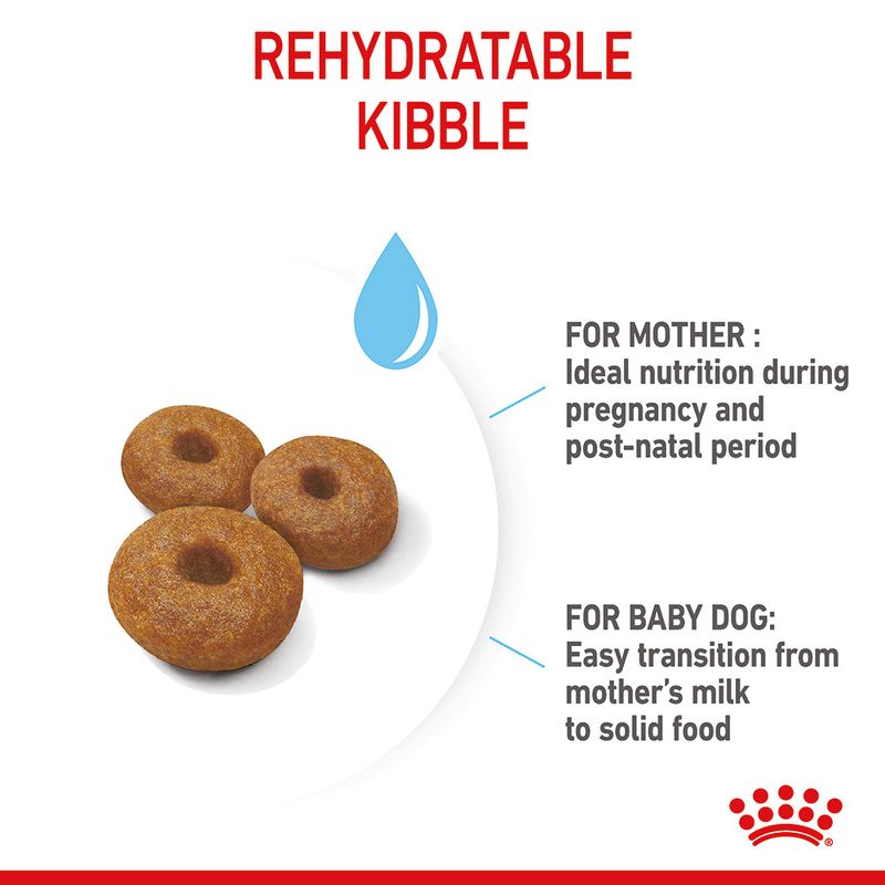 Royal Canin Maxi Starter Mother & Babydog || Royal Canin Size || view 7