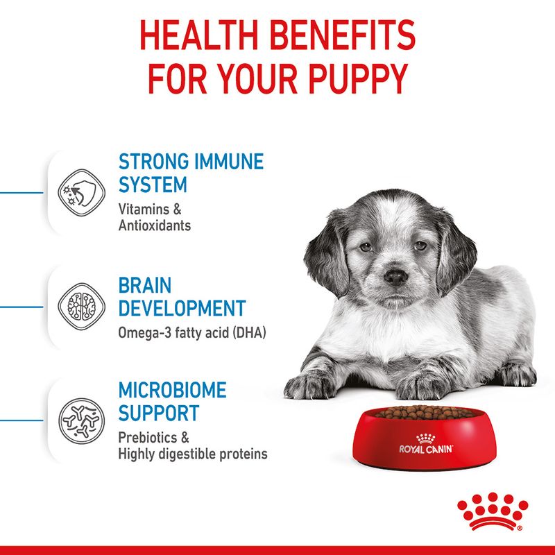 Royal Canin Medium Puppy || Royal Canin Size || view 5