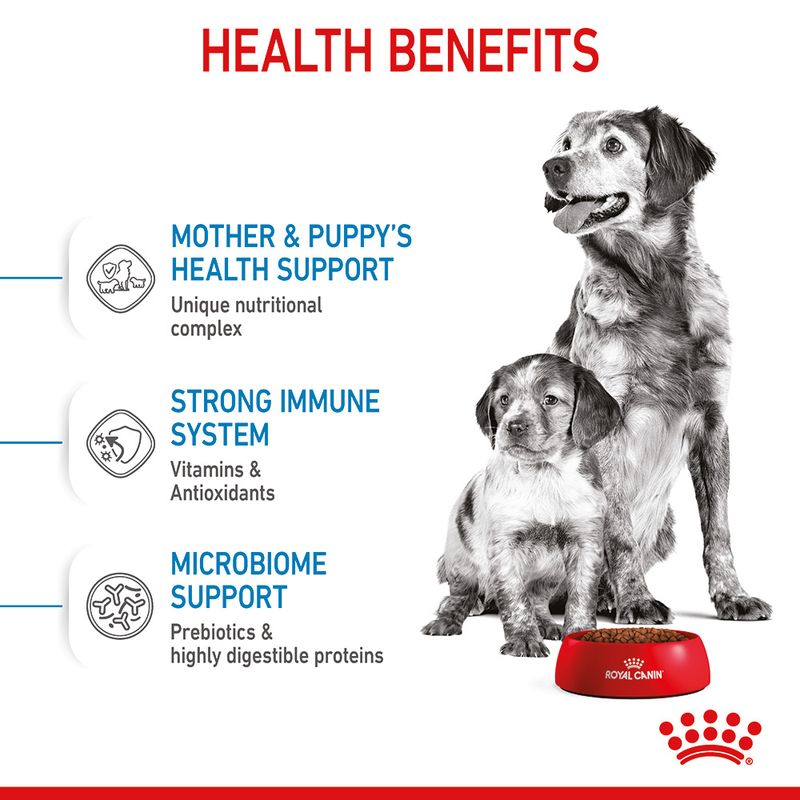 Royal Canin Medium Starter Mother & Babydog || Royal Canin Size || view 5