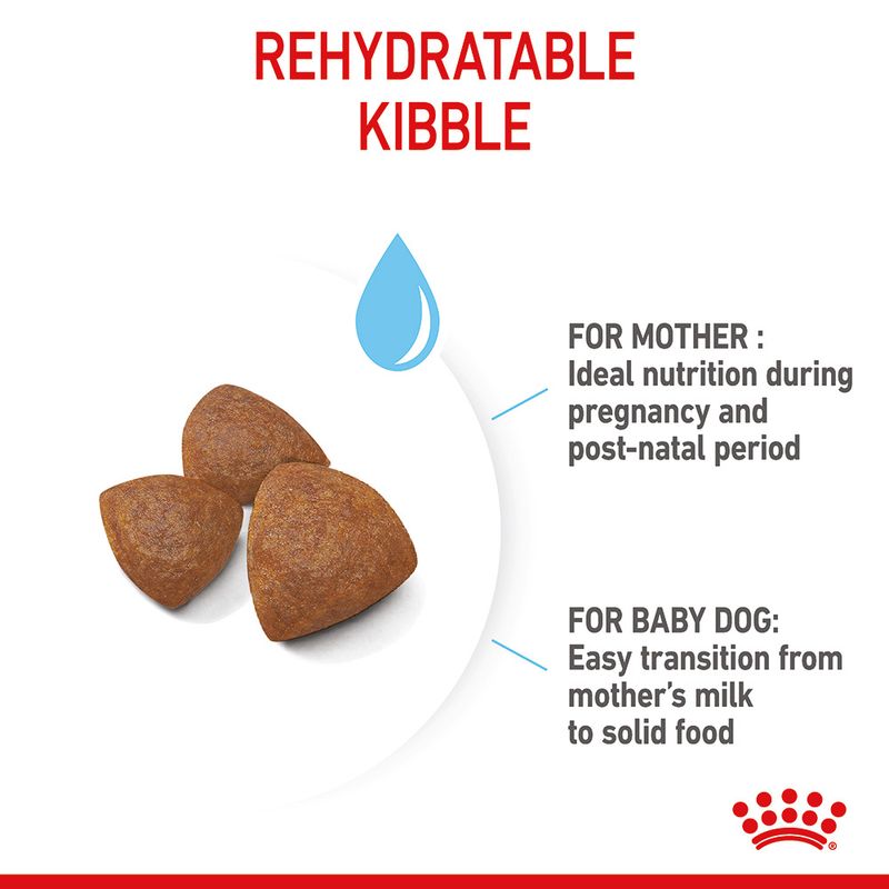 Royal Canin Medium Starter Mother & Babydog || Royal Canin Size || view 7
