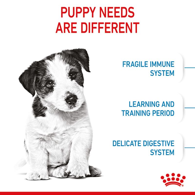 Royal Canin Mini Puppy || Royal Canin Size || view 5