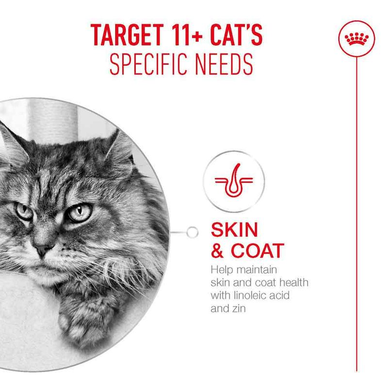 Royal Canin Ageing 11+ Chunks in Gravy