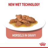 Royal Canin Indoor Sterilised 7+ in Gravy || Royal Canin || view 3