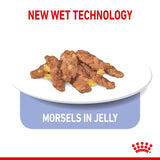 New wet technology. Morsels in jelly shown on a plate.