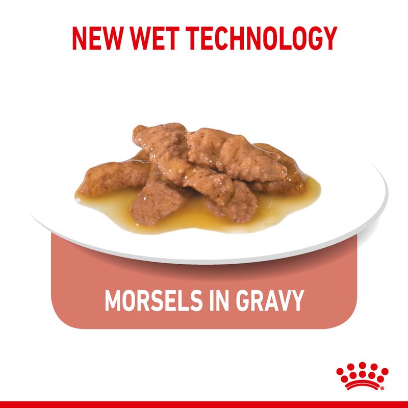 Royal Canin Indoor Sterilised in Gravy || undefined || view 3