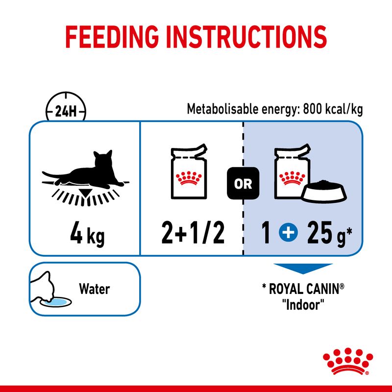Royal Canin Indoor Sterilised in Gravy || undefined || view 7