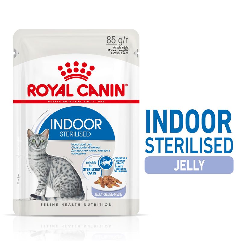 Royal Canin Indoor Sterilised in Jelly || undefined || view 1