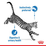 Royal Canin Indoor Sterilised in Jelly || undefined || view 4