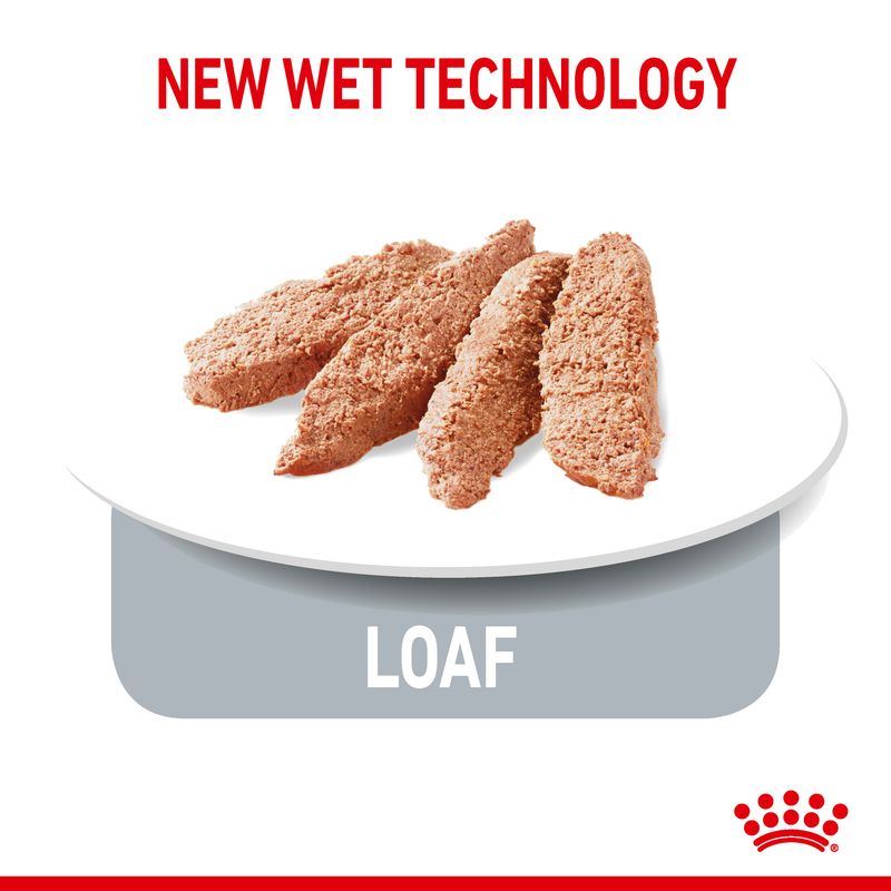New wet technology loaf shown sliced on a plate, highlighting product texture and format.