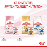 Royal Canin Kitten in Gravy || undefined || view 10