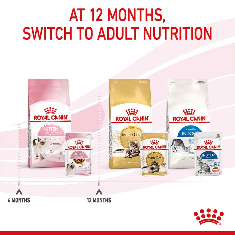 Royal Canin Kitten in Gravy || undefined || view 10
