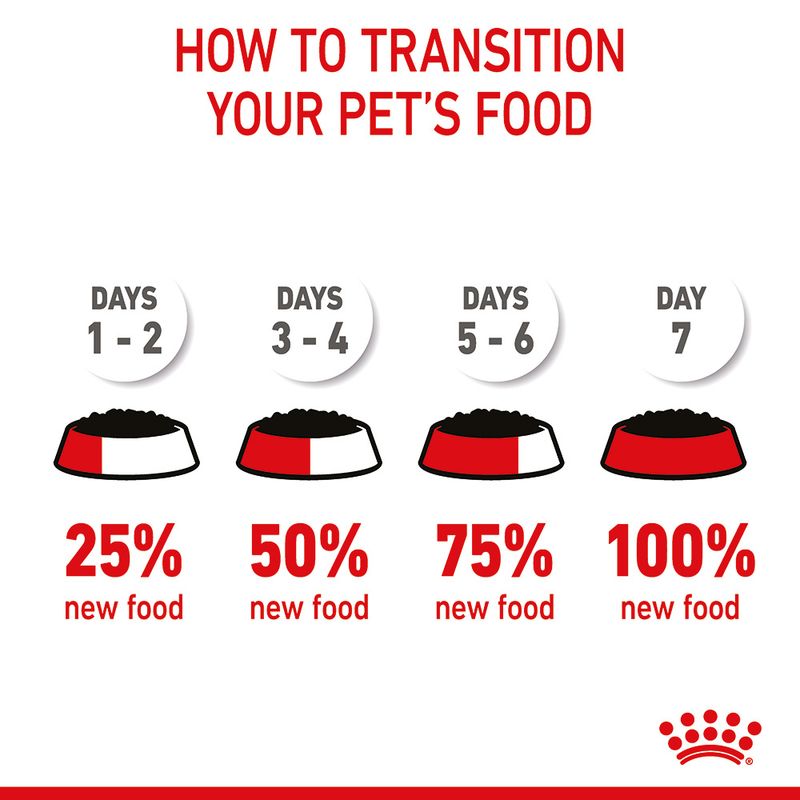 Royal Canin Kitten in Gravy || undefined || view 11
