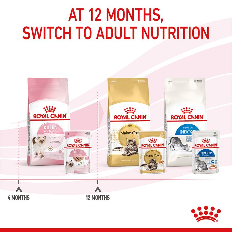 Royal Canin Kitten in Loaf || undefined || view 10