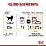 Royal Canin Labrador Retriever Adult in Gravy || Royal Canin Breed || view 6