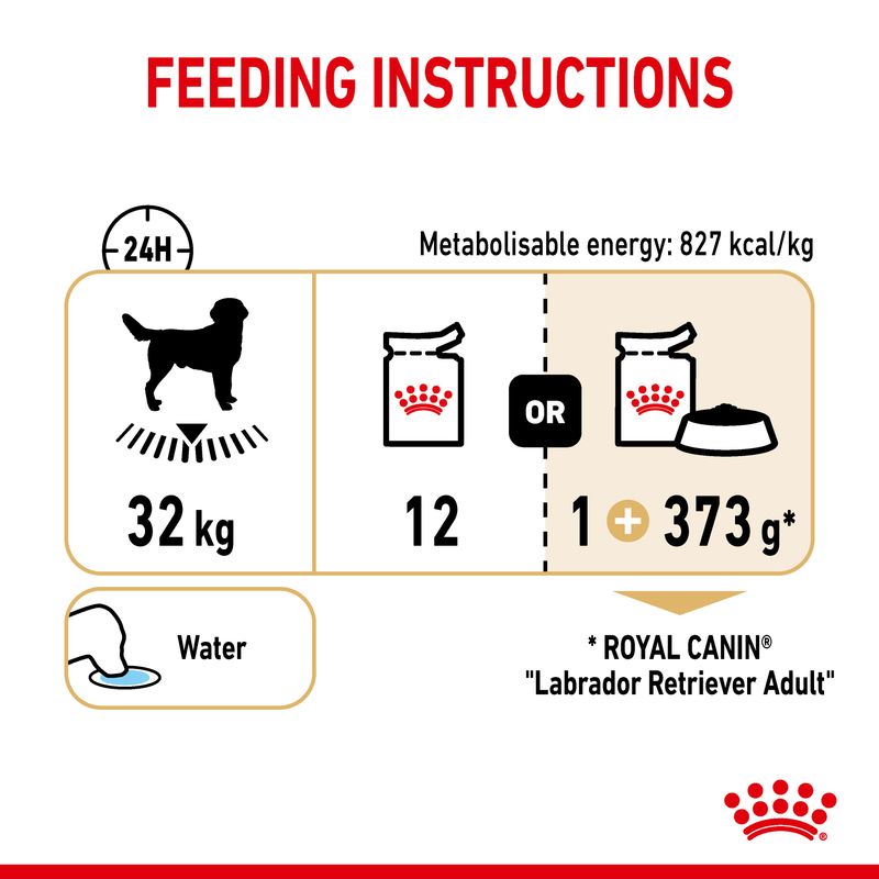 Royal Canin Labrador Retriever Adult in Gravy || Royal Canin Breed || view 6