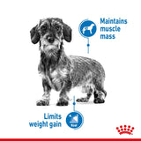 Royal Canin Light Weight Care Loaf || Royal Canin Care Nutrition || view 3