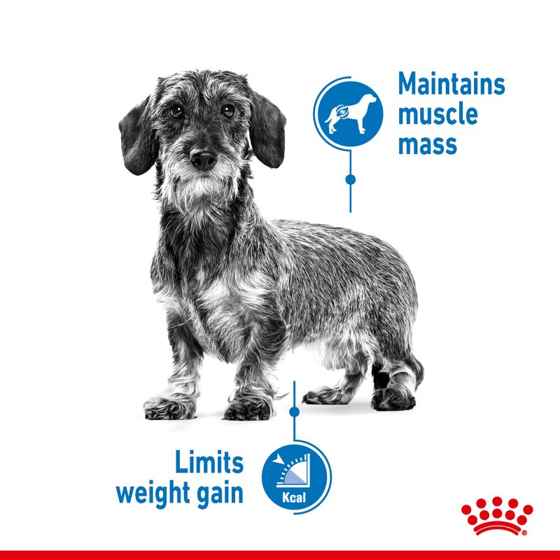 Royal Canin Light Weight Care Loaf || Royal Canin Care Nutrition || view 3