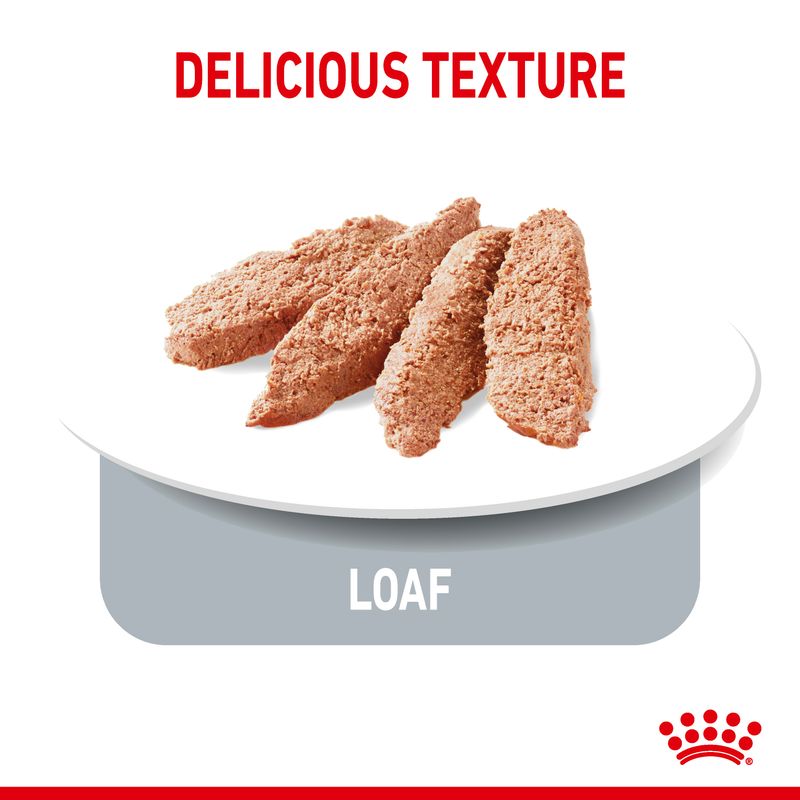 Royal Canin Light Weight Care Loaf || Royal Canin Care Nutrition || view 4