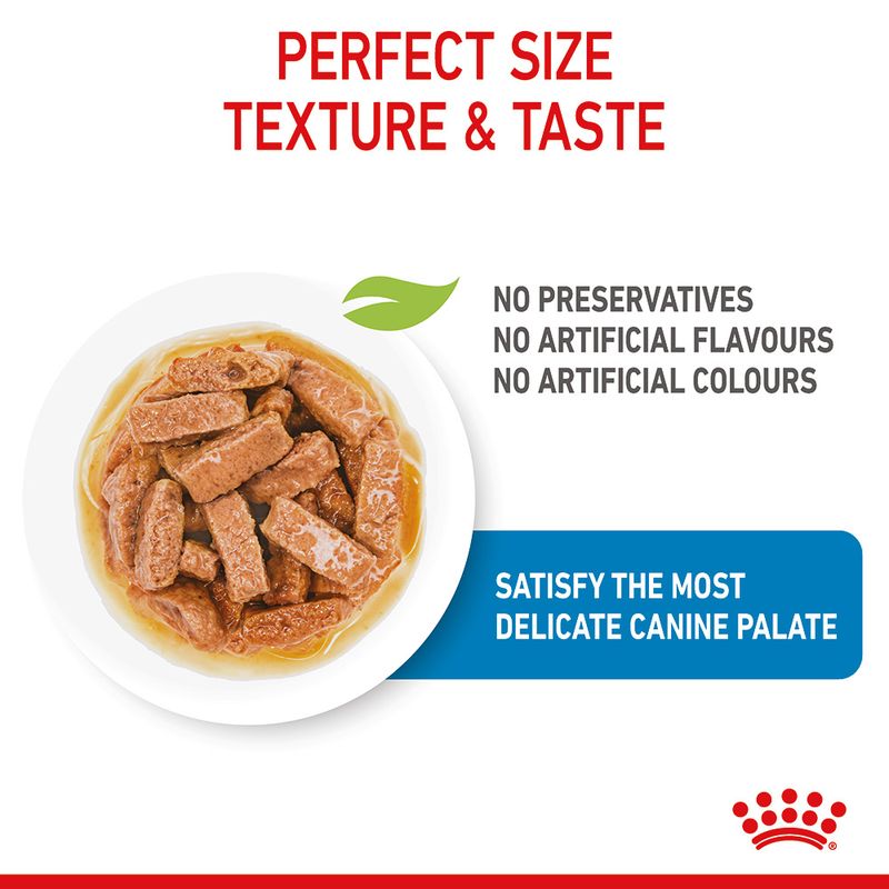Royal Canin Maxi Puppy in Gravy || Royal Canin Size || view 5